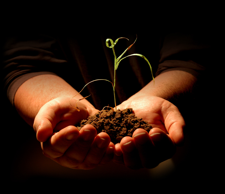 Soil health in your hands