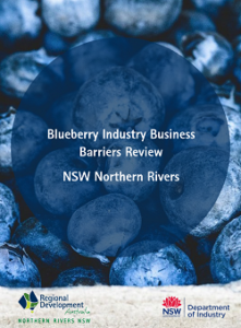 Northern Rivers Blueberry Industry report