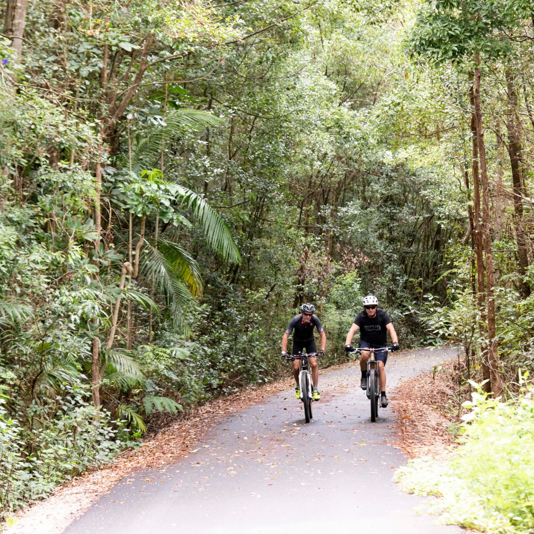 Two cyclists riding on a sealed path between tropical foliage on the northern rivers rail trail